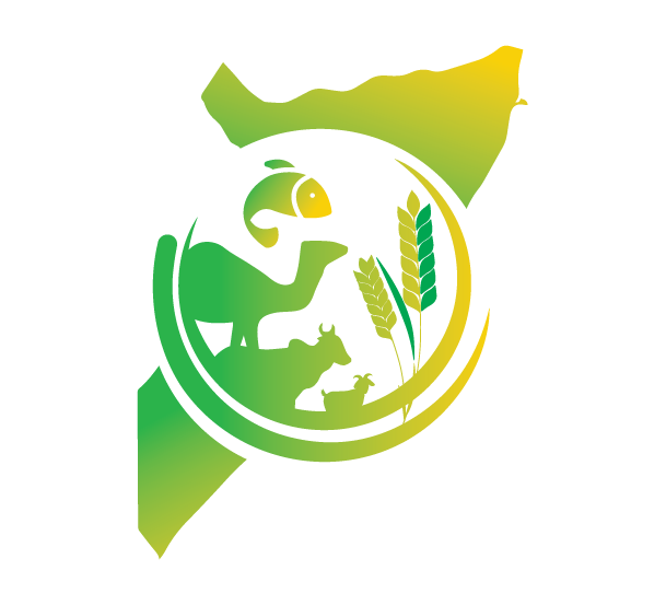 Somalia Food systems